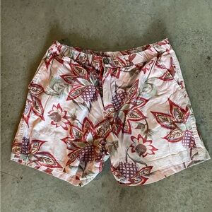 Chubbies 5.5” Shorts